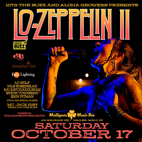 Led Zeppelin Tribute